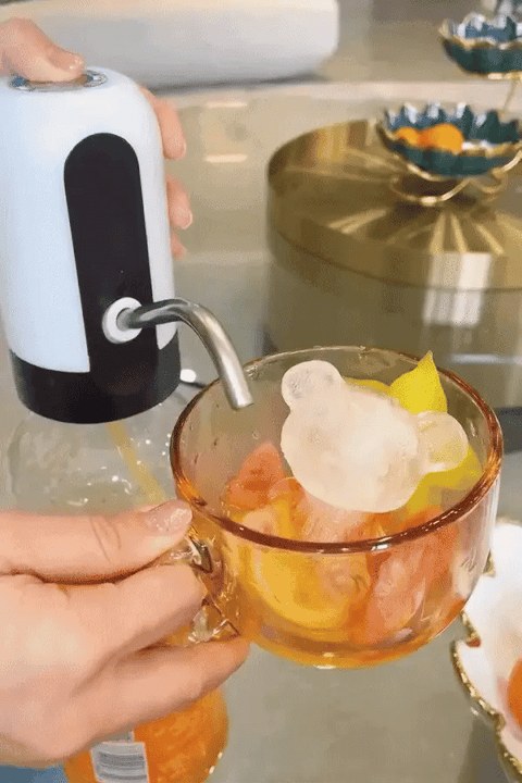 Electric Portable Water Dispenser Pump My Store