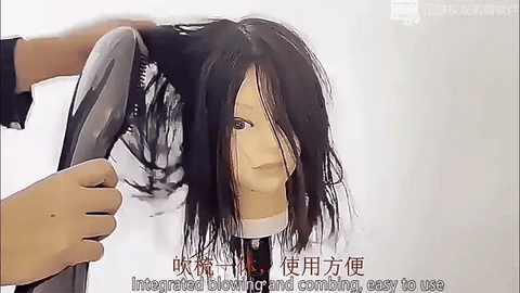 Refura - 2-in-1 Unique Hair Styler AK TREND MART